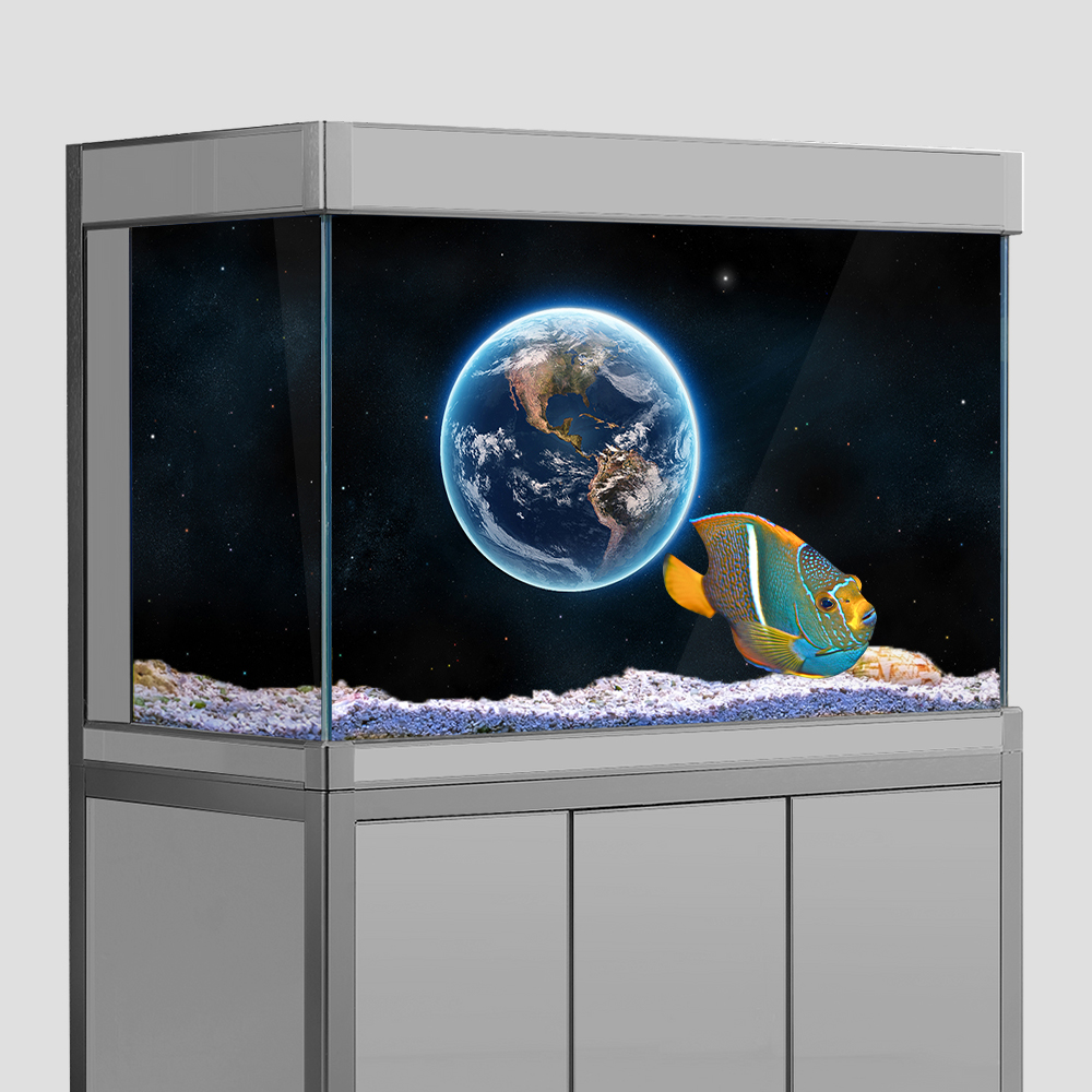 Aquarium Fish Wallpaper Hd - Aquarium Fish Tank Background Sticker,Earth Planet