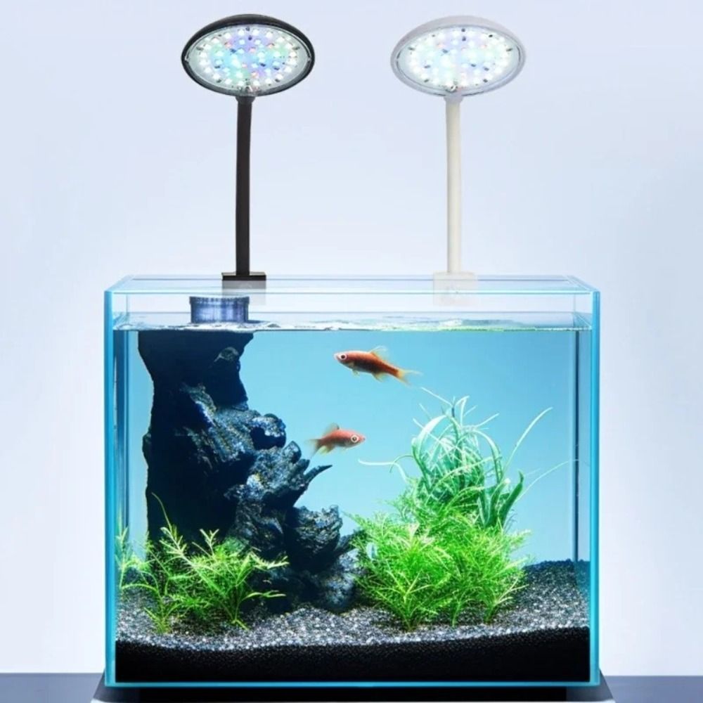 Aquarium Fish Live - Mini Fish Tank Clip Lamp 360-Degree
