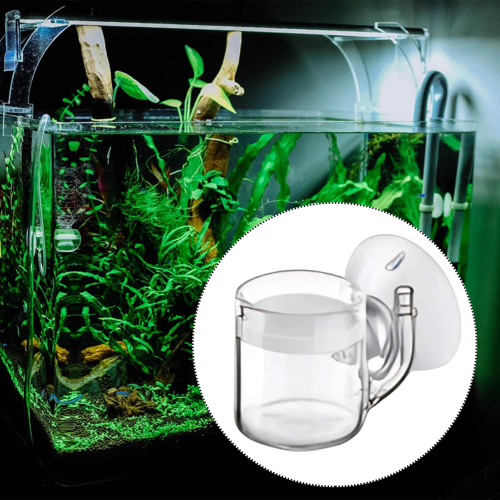 Aquarium Diffuser Glass CO2 Sy - Co2 Diffuser Planted ulasan dan harga