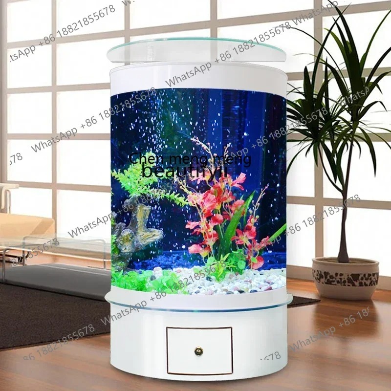 F181 l Fish Tank Living Room C - Aquarium Fish Live ulasan dan harga