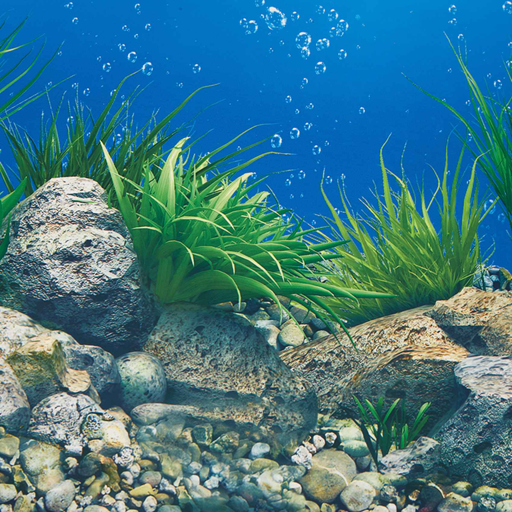 AB33-Aquarium Background Paper - Aquarium Fish Wallpaper Hd ulasan dan harga