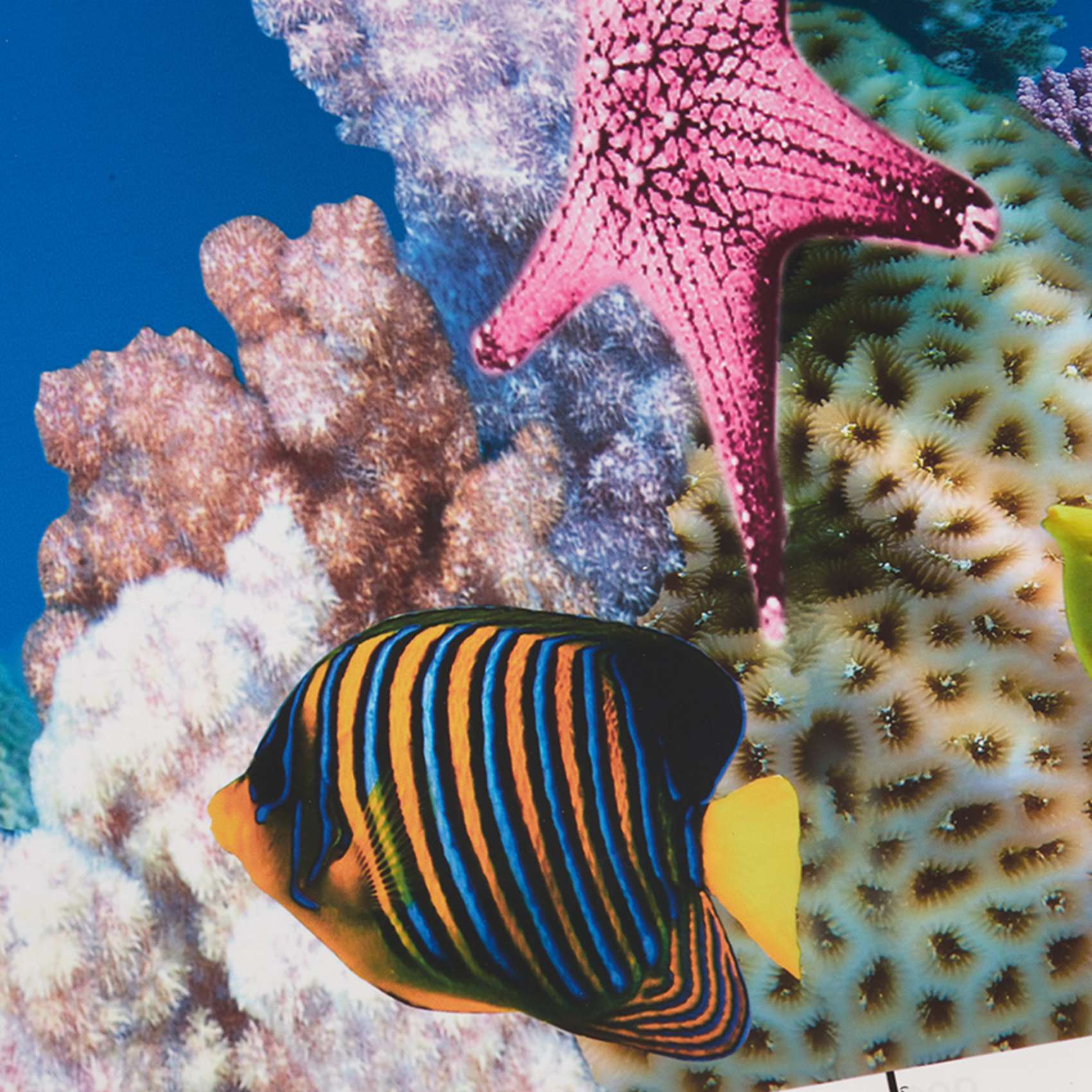 AB33-Aquarium Background Paper - Aquarium Fish Wallpaper Hd ulasan dan harga
