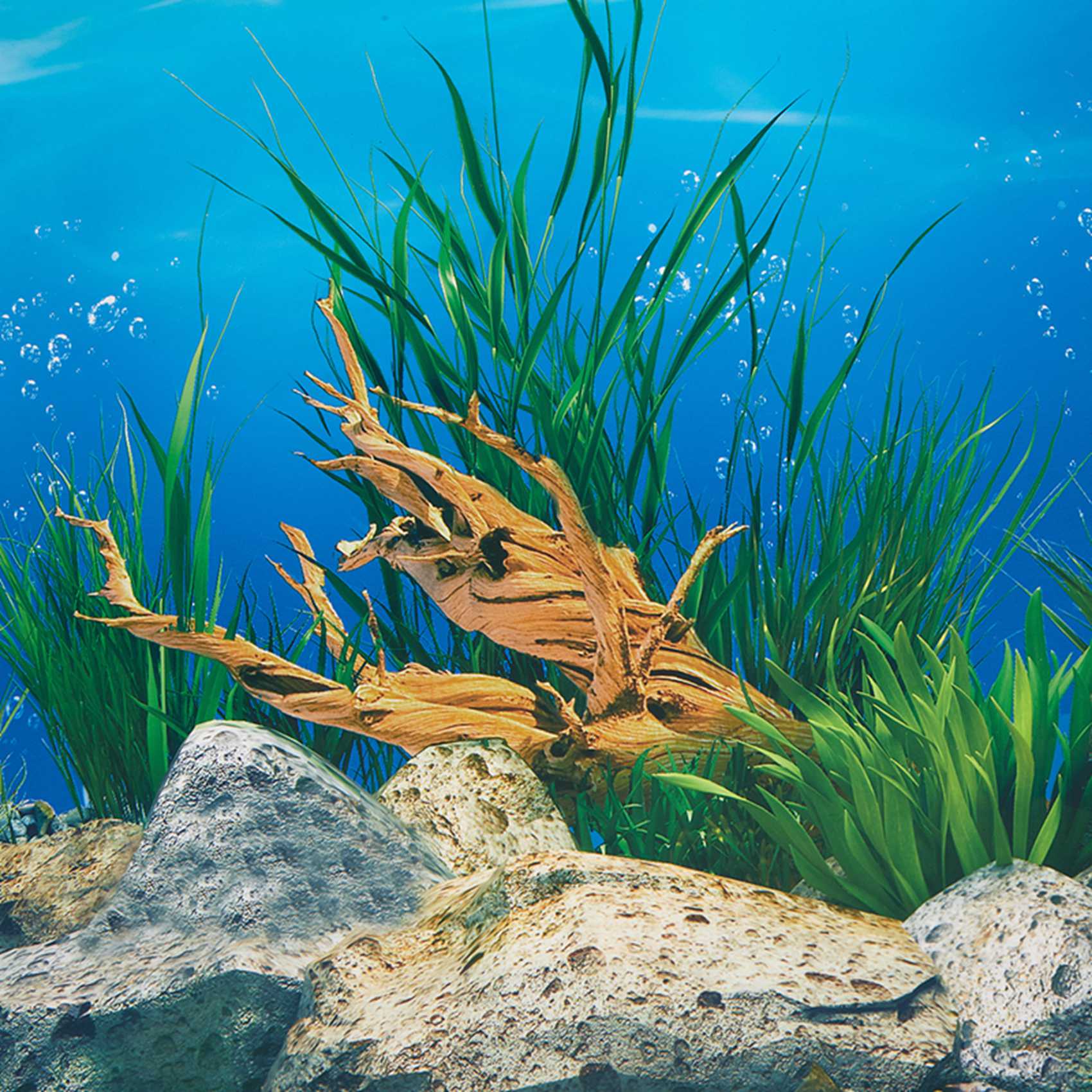 AB33-Aquarium Background Paper - Aquarium Fish Wallpaper Hd ulasan dan harga