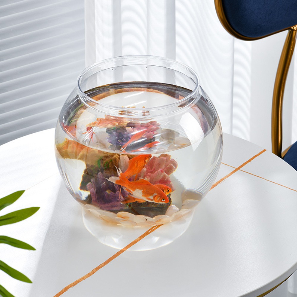 Home Decor Clear Transparent R - Aquarium Fish Live ulasan dan harga