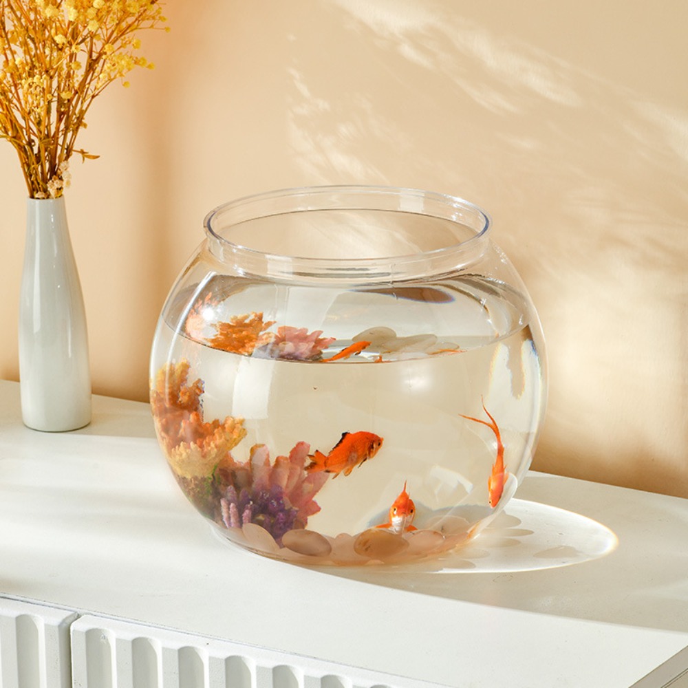 Home Decor Clear Transparent R - Aquarium Fish Live ulasan dan harga