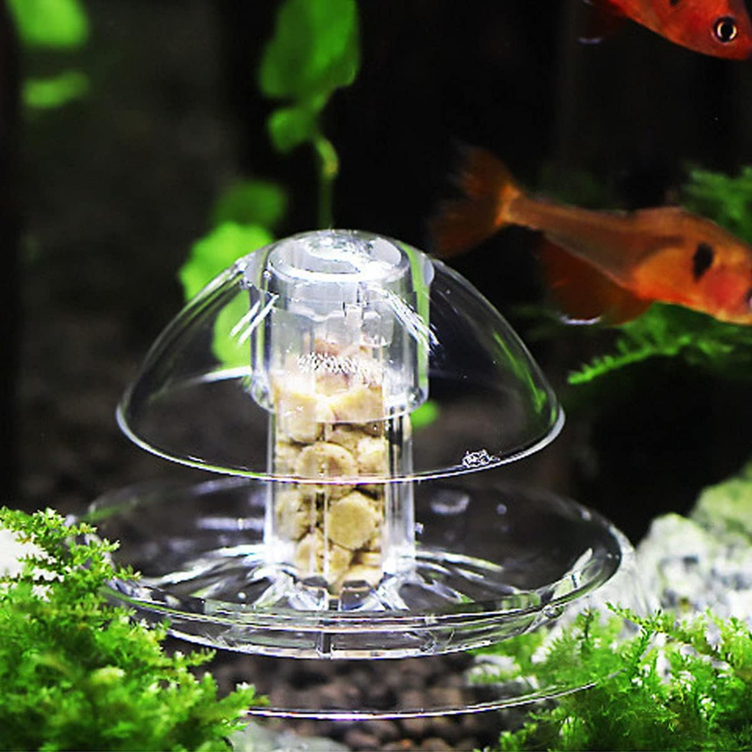 Ailindany Snail Trap Plastic T - Aquarium Fish In Online ulasan dan harga