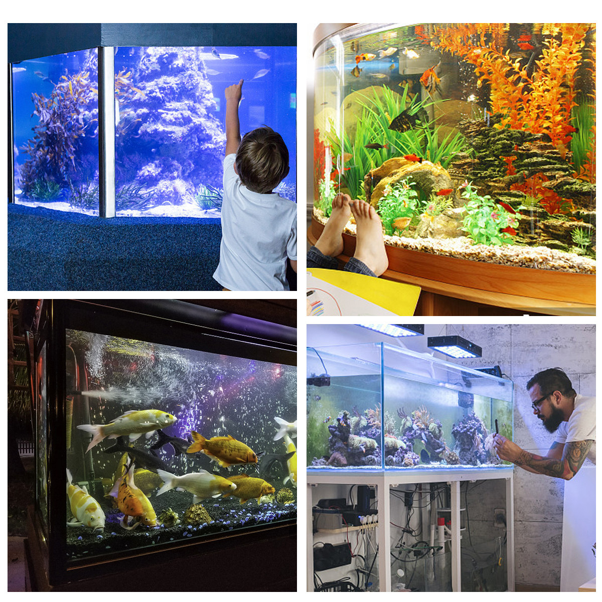 Fish Tank Background Sticker A - Aquarium Fish Wallpaper Hd ulasan dan harga