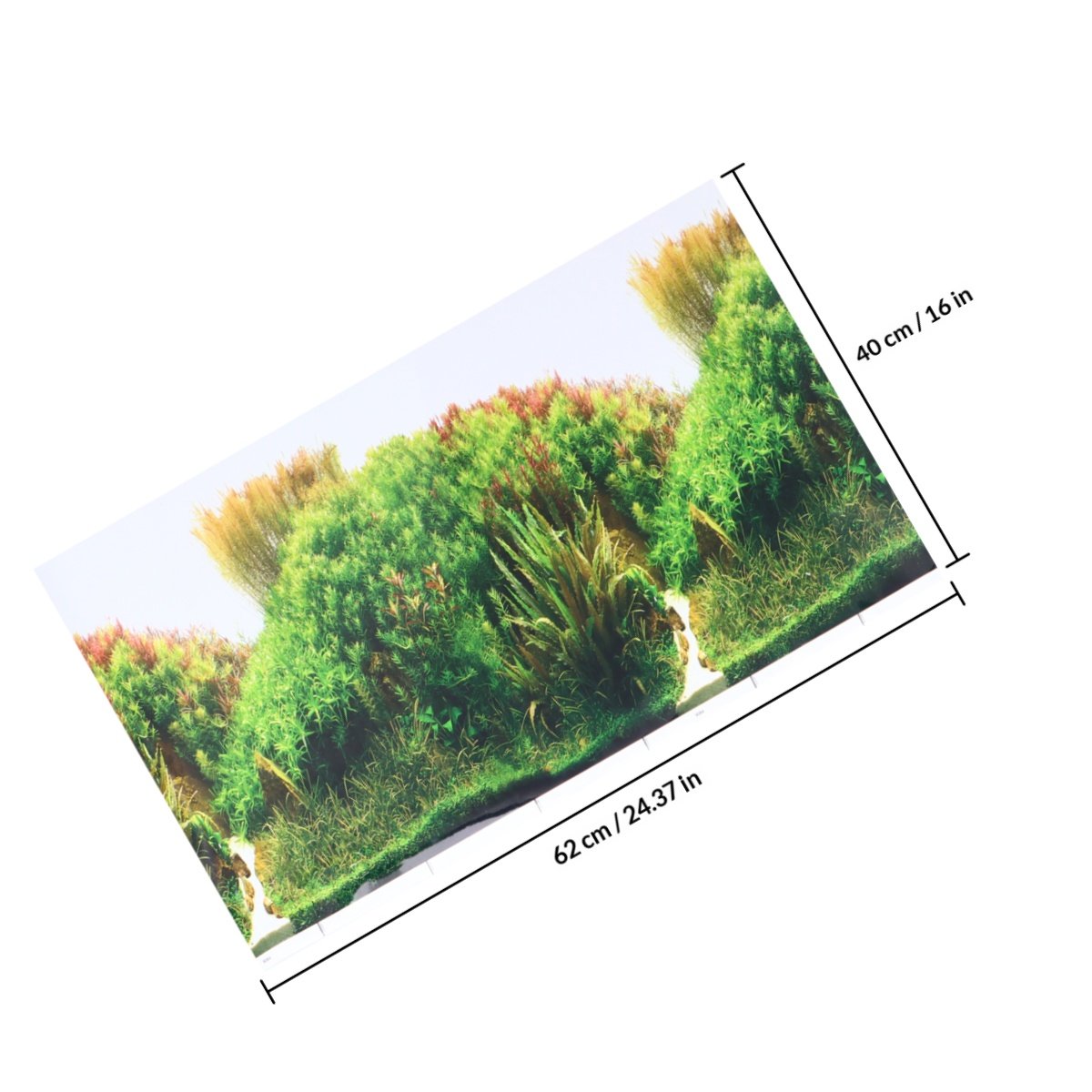 Fish Tank Background Sticker A - Aquarium Fish Wallpaper Hd ulasan dan harga
