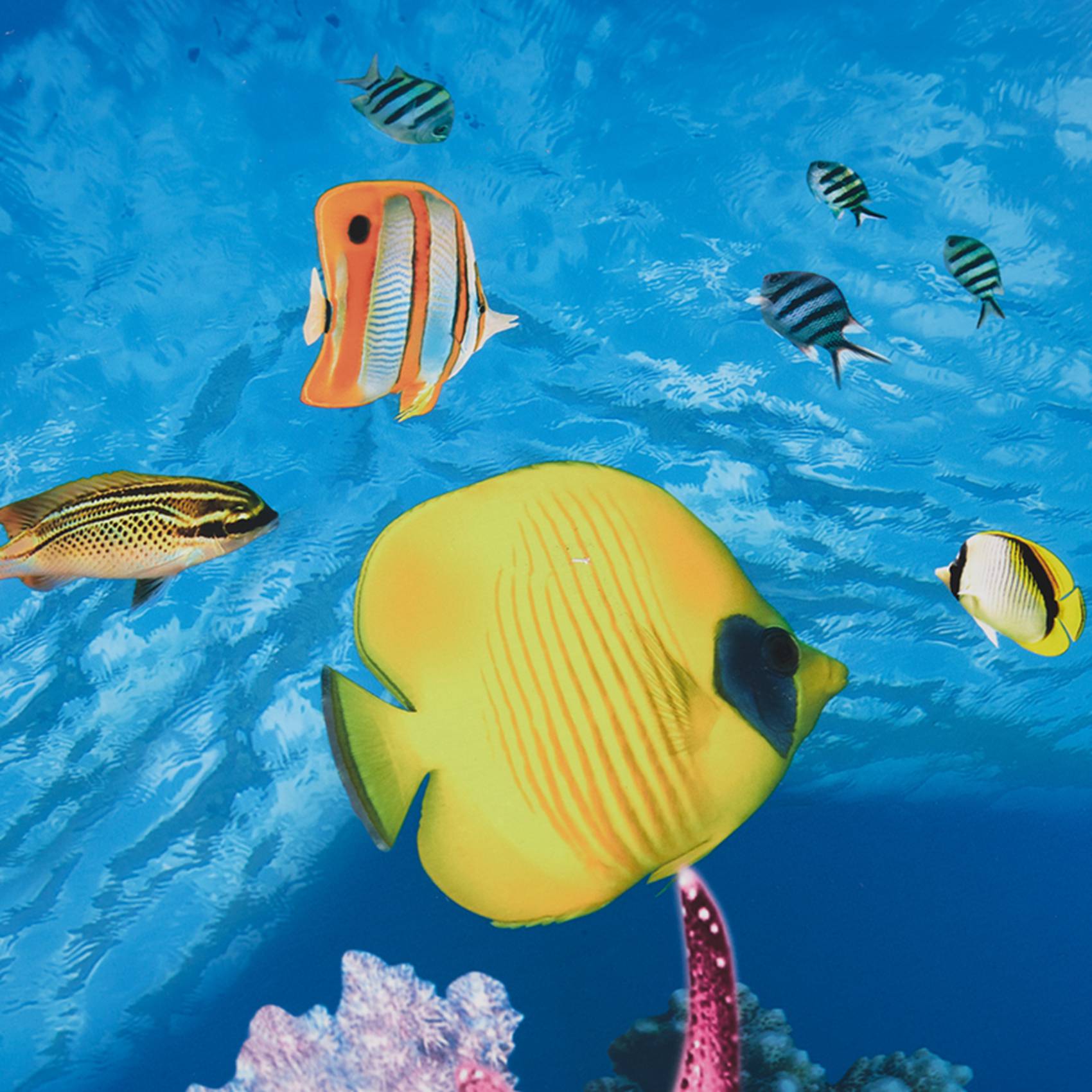 A77I Aquarium Background Paper - Aquarium Fish Wallpaper Hd ulasan dan harga