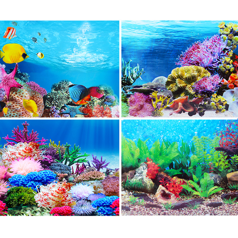 Fish tank background sticker p - Aquarium Fish Wallpaper Hd ulasan dan harga