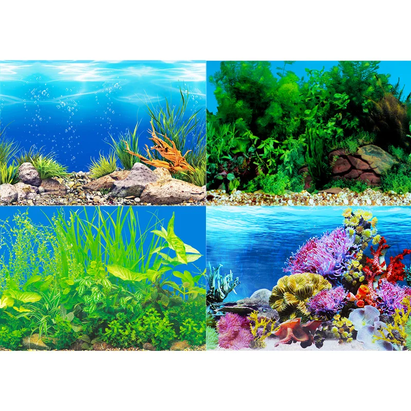 Fish tank background sticker p - Aquarium Fish Wallpaper Hd ulasan dan harga