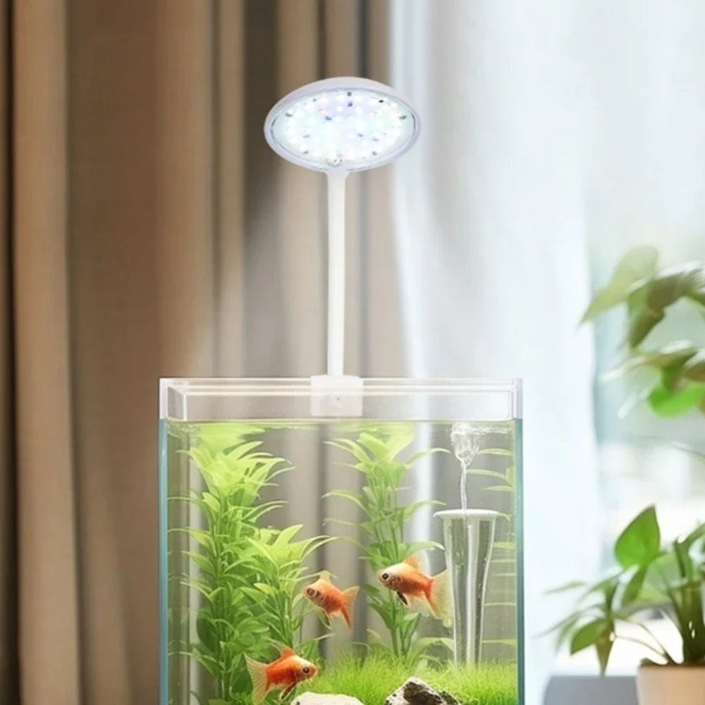 Mini Fish Tank Clip Lamp 5/7W  - Aquarium Fish Live ulasan dan harga