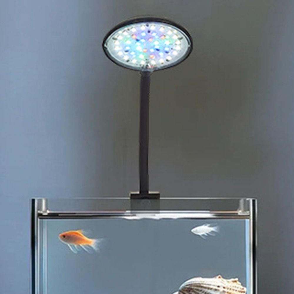Mini Fish Tank Clip Lamp 5/7W  - Aquarium Fish Live ulasan dan harga
