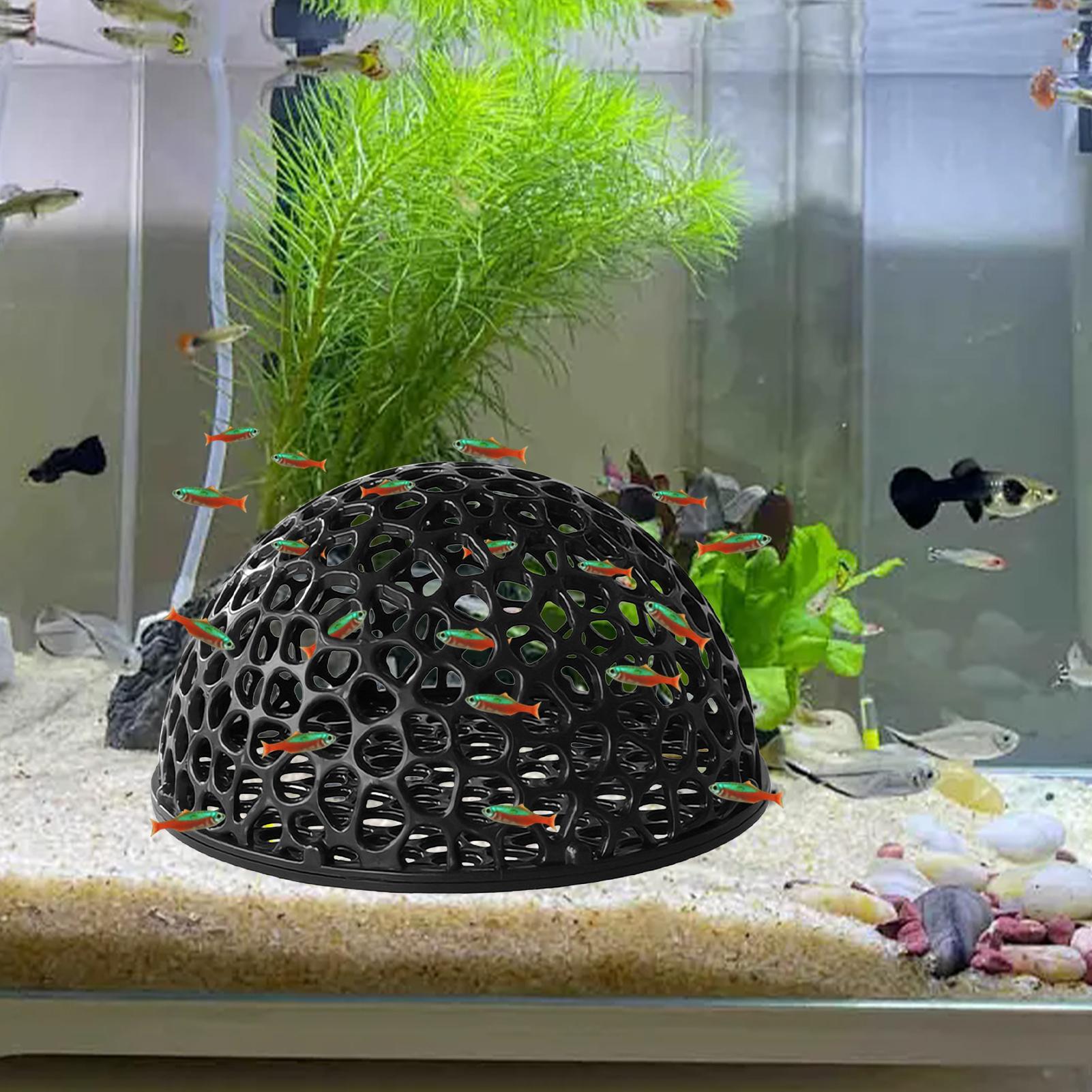 Mini Porous Betta House Aquari - Aquarium Fish Hiding Spot ulasan dan harga
