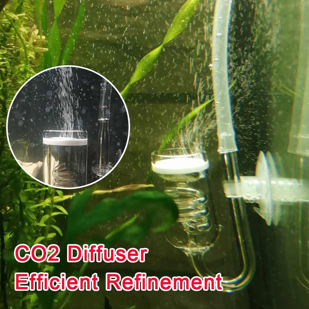 Glass Tank Bubble Reactor Aqua - Co2 Diffuser Planted ulasan dan harga