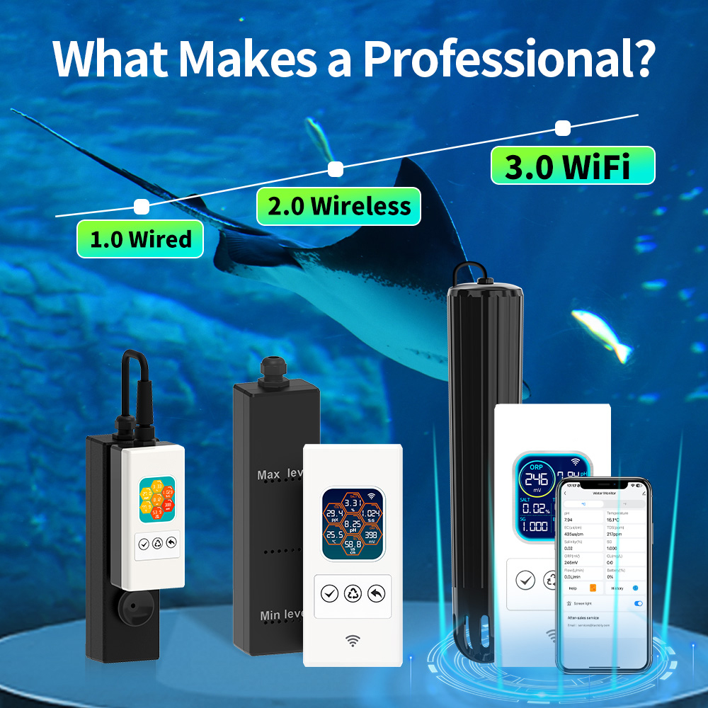 7 in 1 Online Koi Pond & Aquar - Aquarium Fish In Online ulasan dan harga