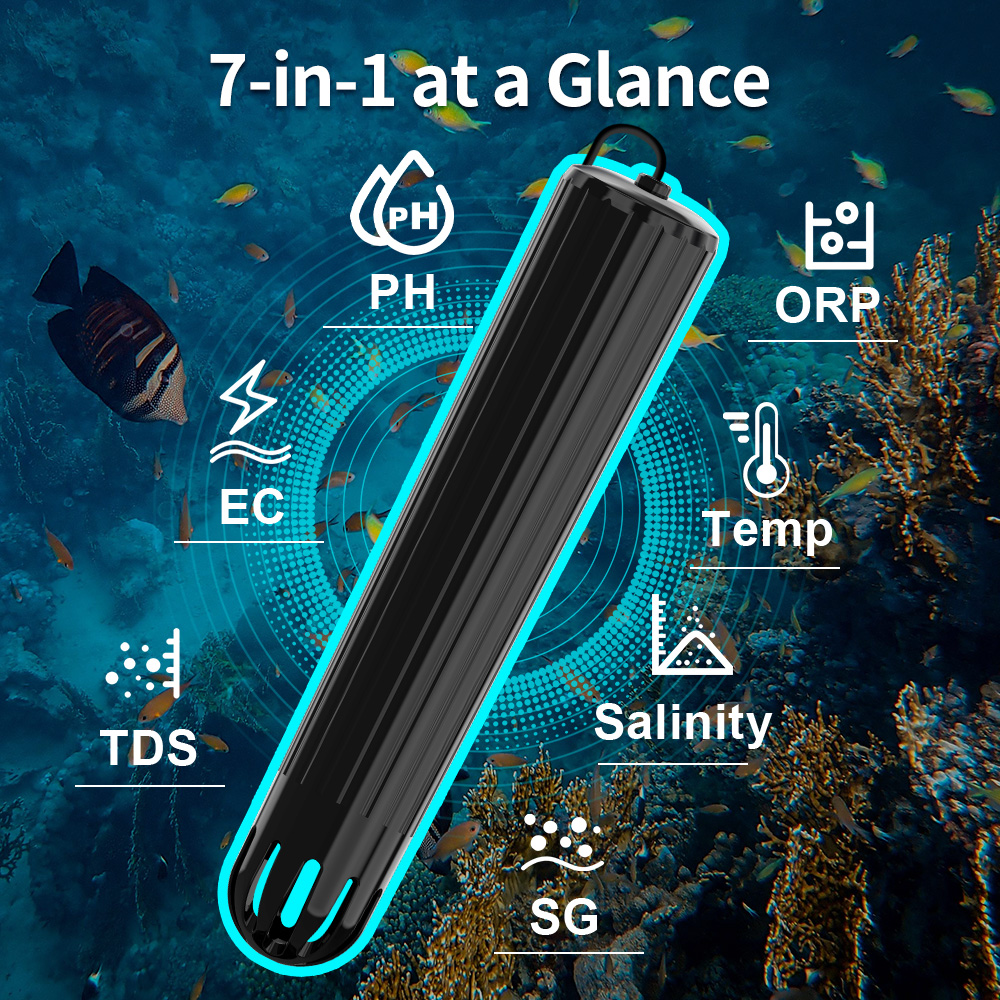 7 in 1 Online Koi Pond & Aquar - Aquarium Fish In Online ulasan dan harga