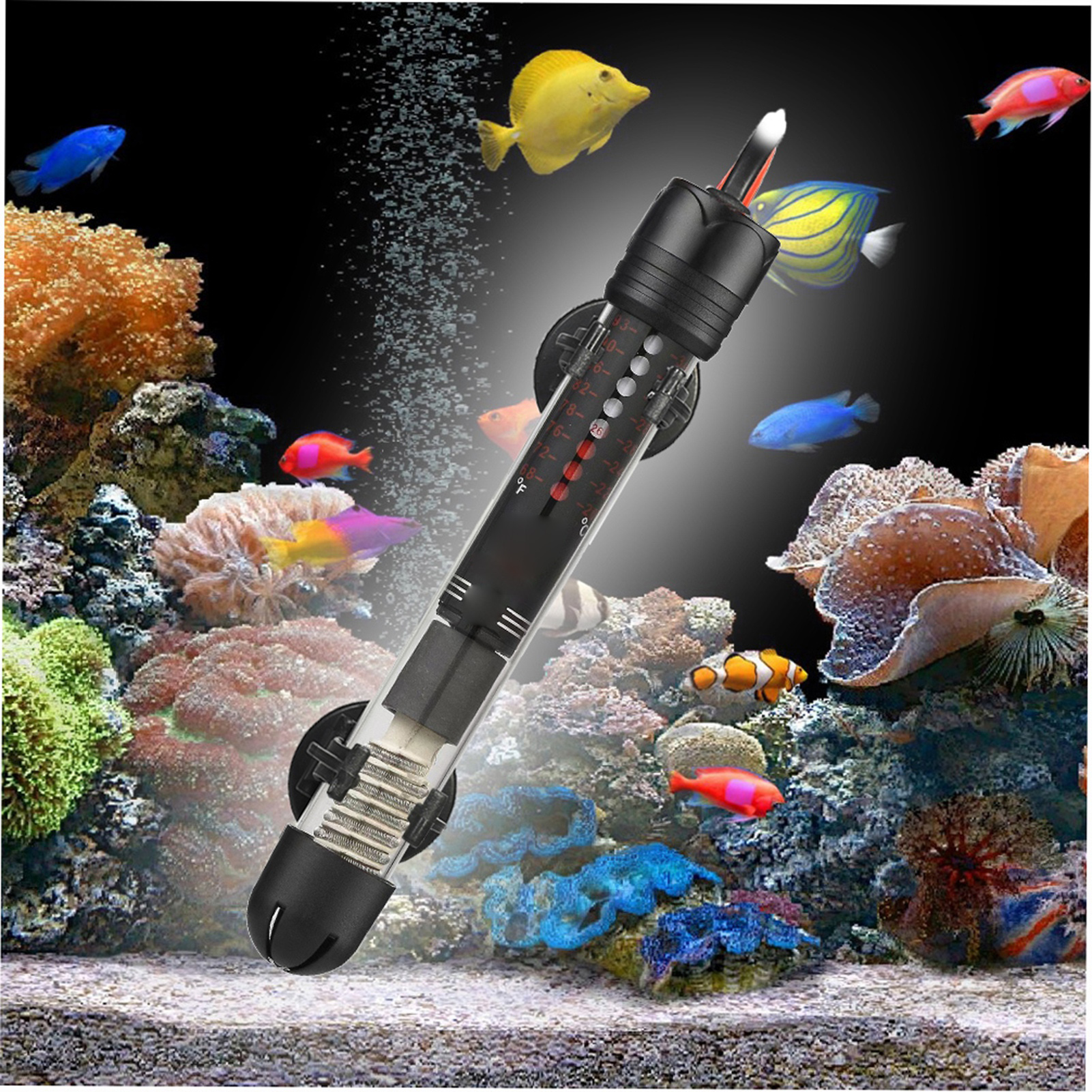 Home \u0026amp Living Submersi - Aquarium Fish Live ulasan dan harga