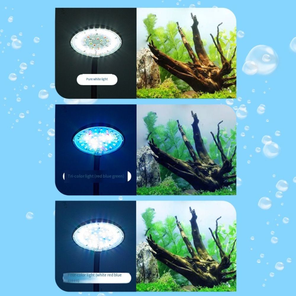 Mini Fish Tank Clip Lamp 360-D - Aquarium Fish Live ulasan dan harga