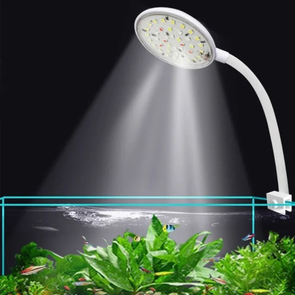 Mini Fish Tank Clip Lamp 360-D - Aquarium Fish Live ulasan dan harga
