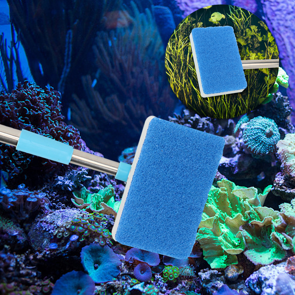 Cleaner Scrubber Double-Sided  - Aquarium Fish Long ulasan dan harga