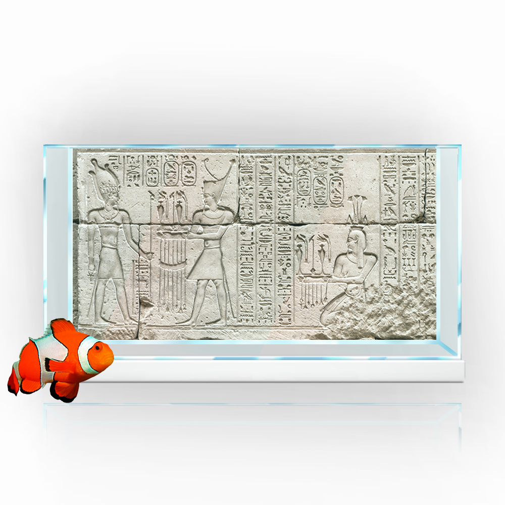 Fish Tank Background Sticker,  - Aquarium Fish Wallpaper Hd ulasan dan harga