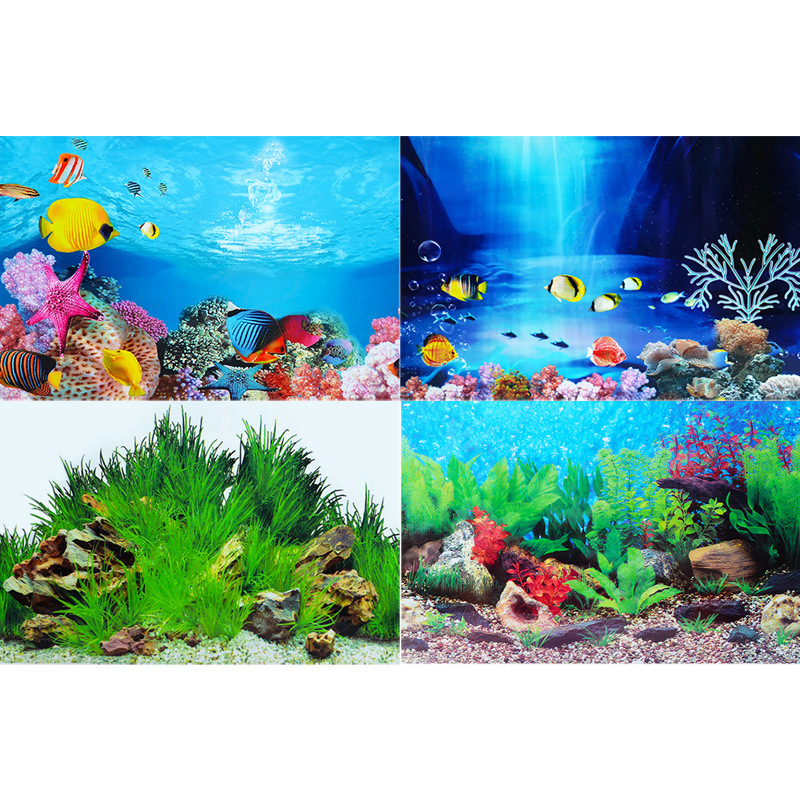 3D Background for Aquarium Dou - Aquarium Fish Wallpaper Hd ulasan dan harga