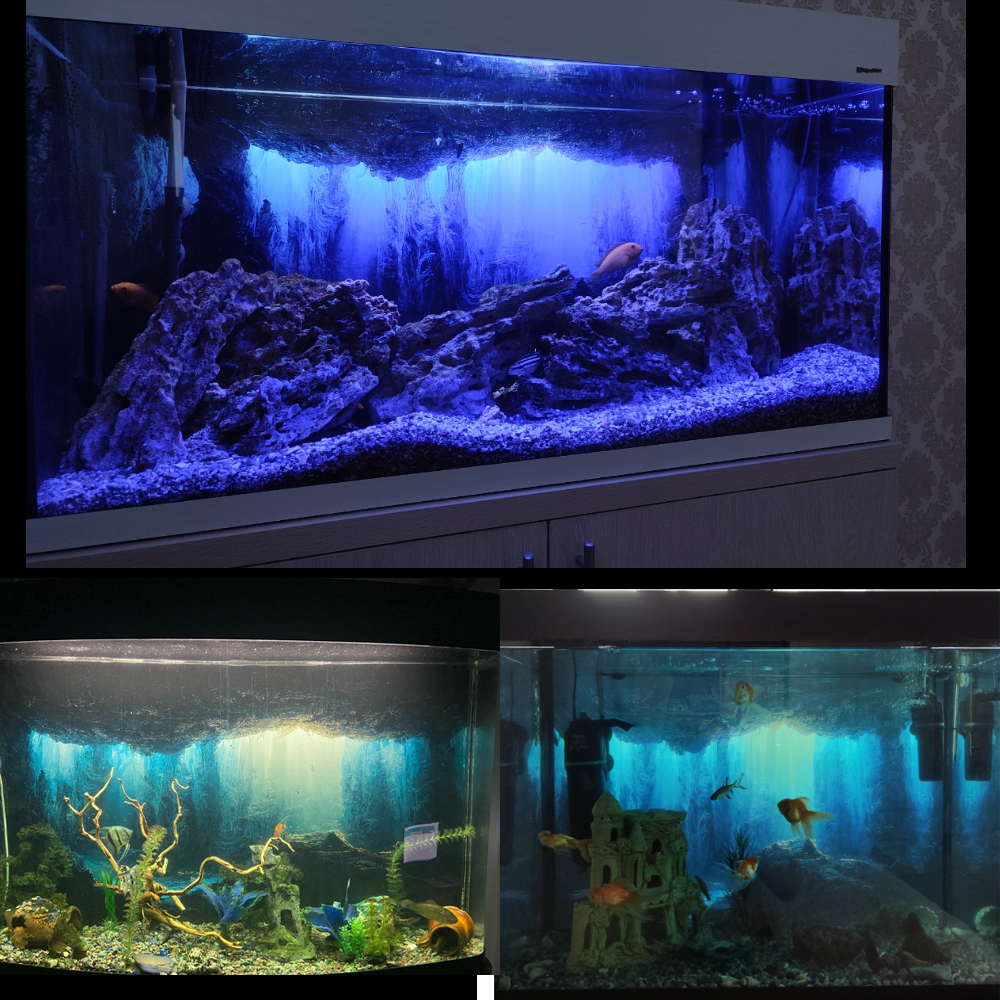 Aquarium Background Sticker,   - Aquarium Fish Wallpaper Hd ulasan dan harga