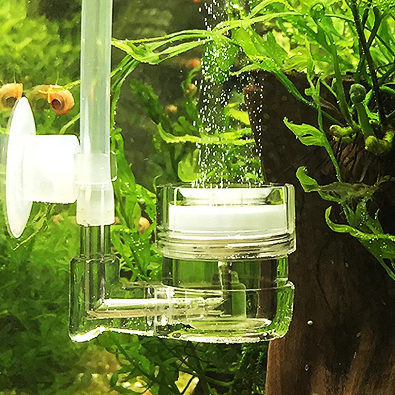 Aquarium 4 in 1 CO2 Diffuser G - Aquarium Fish Live ulasan dan harga