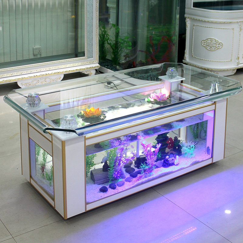 Xihao ecological coffee table  - Aquarium Fish Live ulasan dan harga