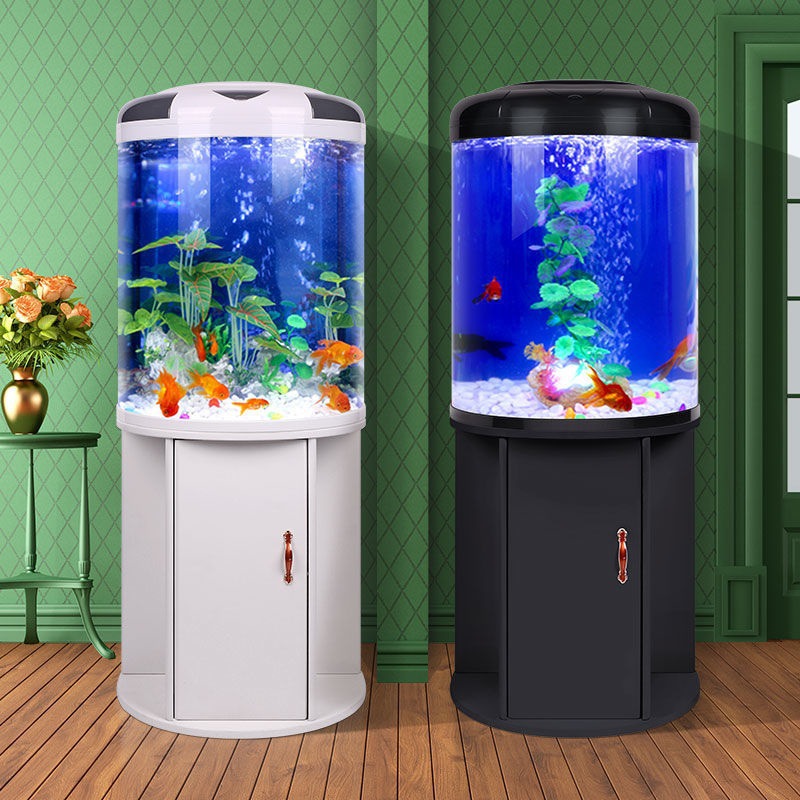 Fish tank living room Semicirc - Aquarium Fish Live ulasan dan harga