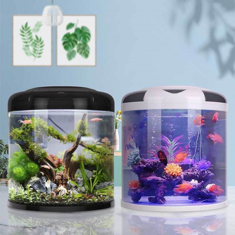 Fish tank living room Semicirc - Aquarium Fish Live ulasan dan harga