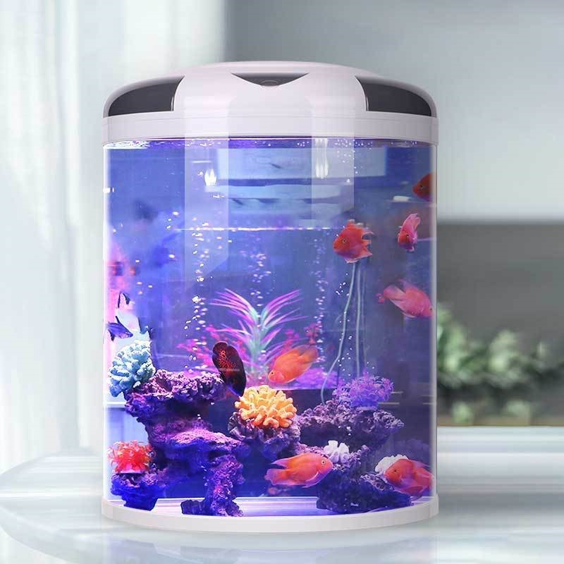Fish tank living room Semicirc - Aquarium Fish Live ulasan dan harga