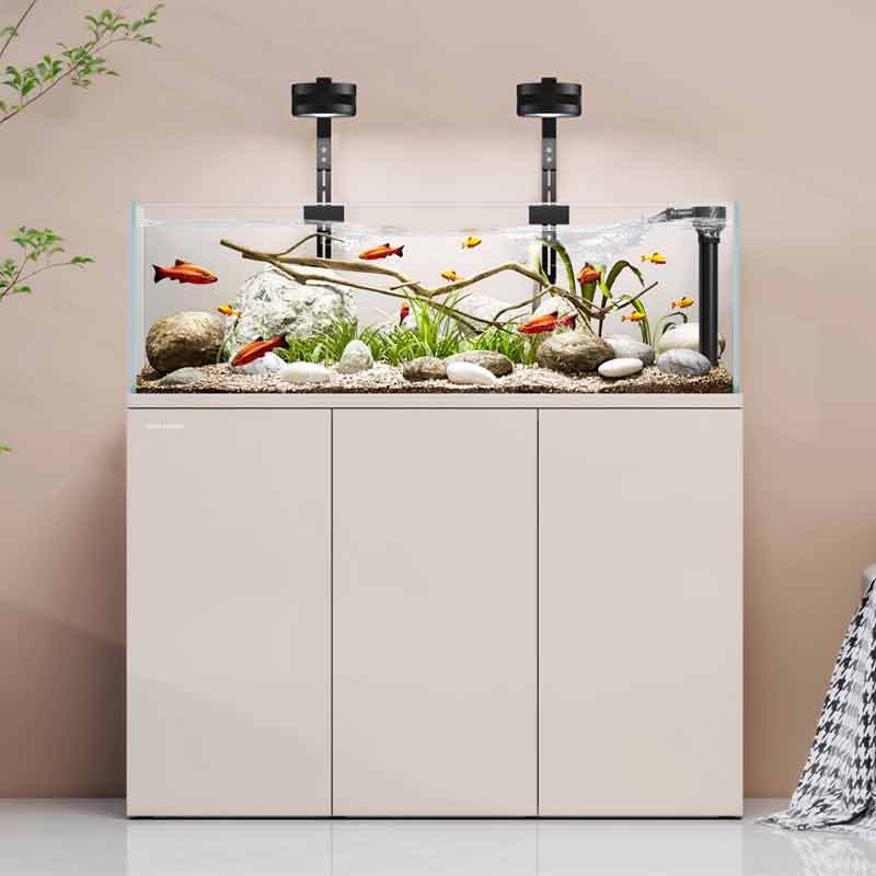 Minjiang stream tank landscapi - Aquarium Fish Live ulasan dan harga