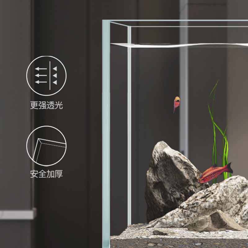 Minjiang stream tank landscapi - Aquarium Fish Live ulasan dan harga