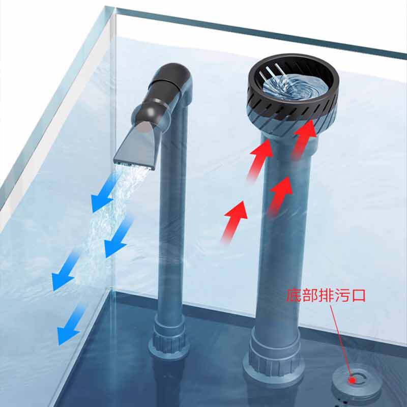 Minjiang stream tank landscapi - Aquarium Fish Live ulasan dan harga