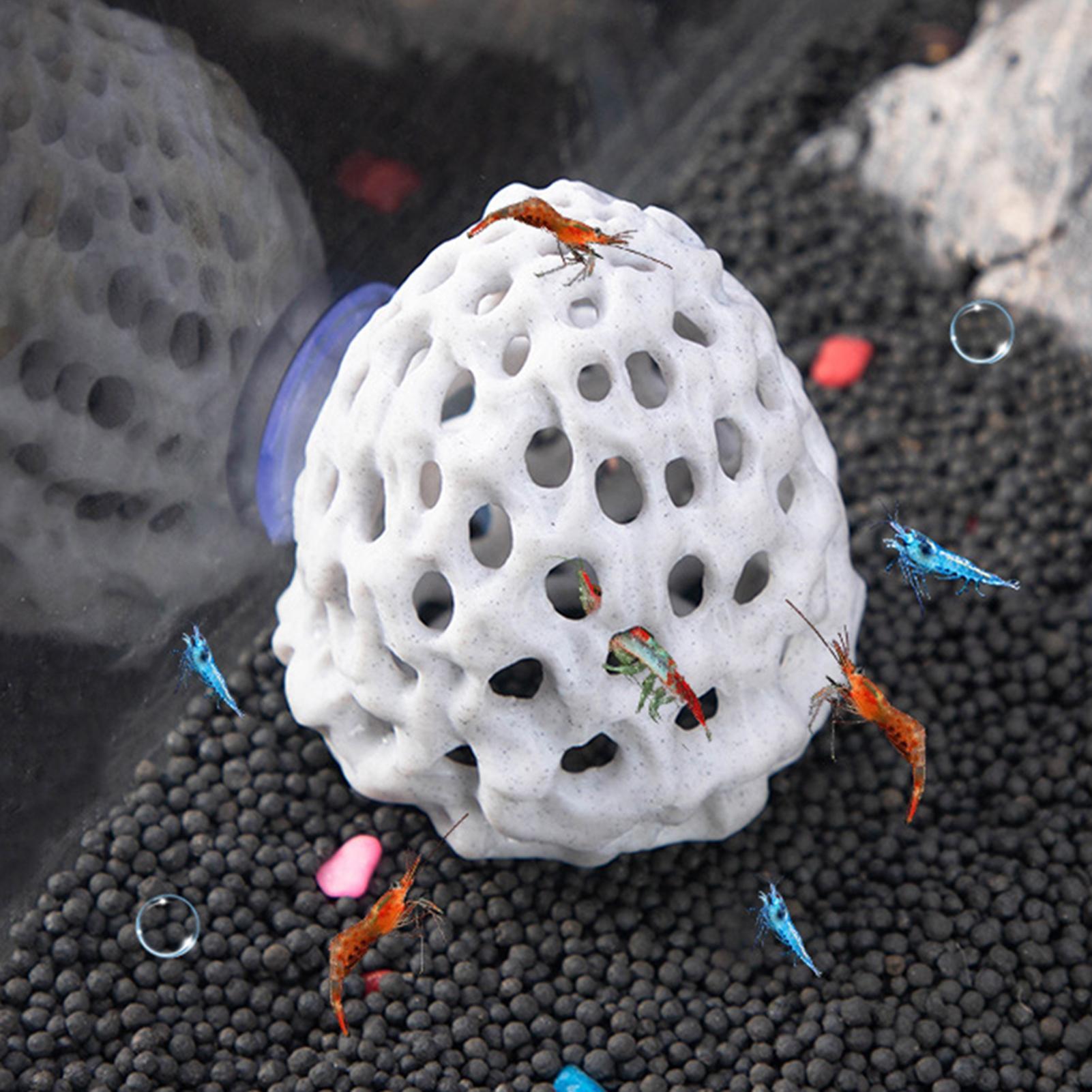 Aquarium shrimp house Cave Min - Aquarium Fish Hiding Spot ulasan dan harga