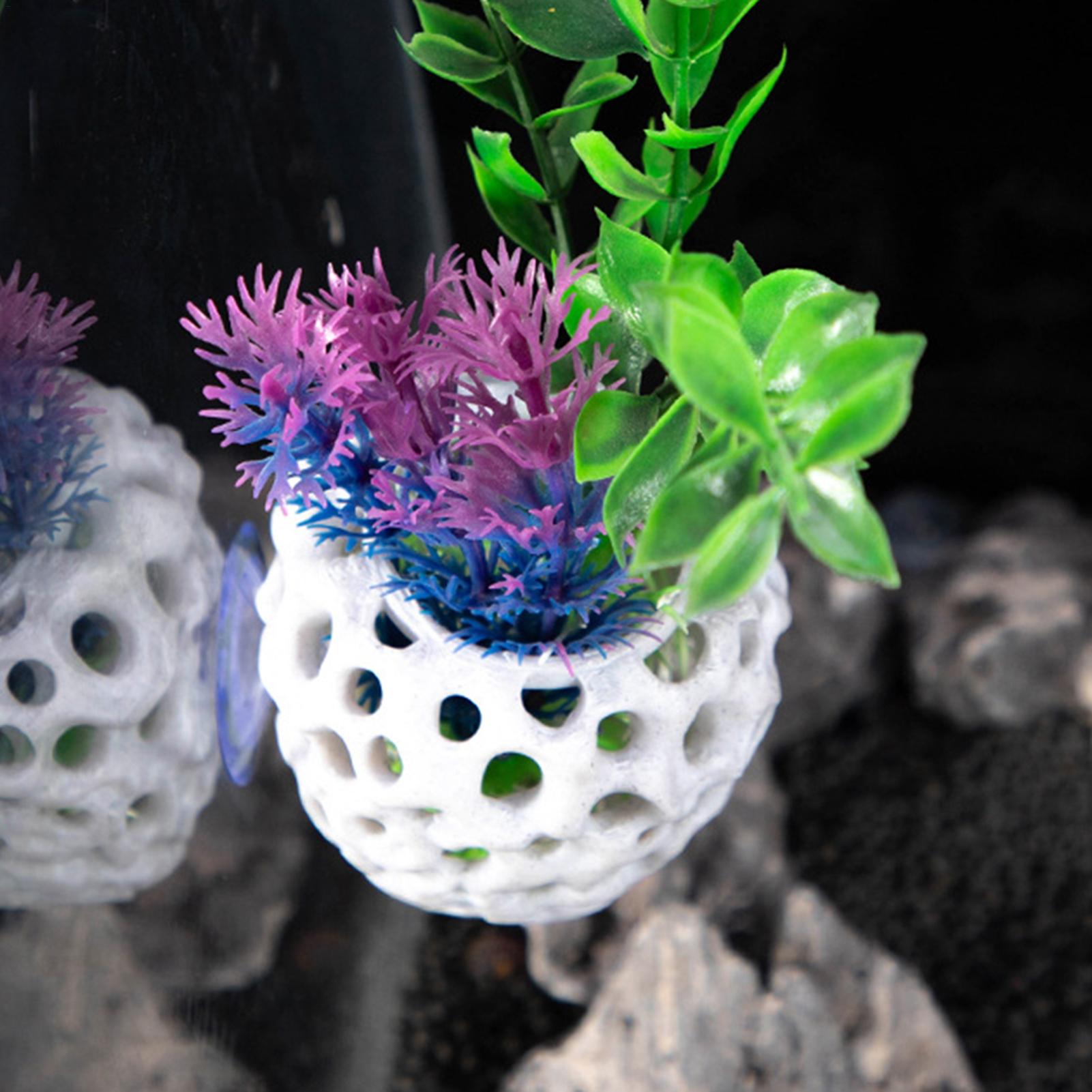 Aquarium shrimp house Cave Min - Aquarium Fish Hiding Spot ulasan dan harga
