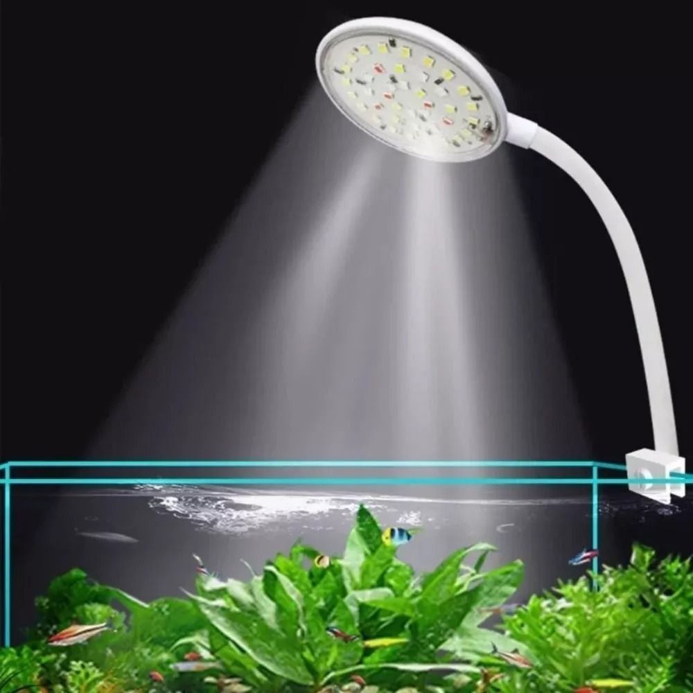 New Mini Fish Tank Clip Lamp 5 - Aquarium Fish Live ulasan dan harga