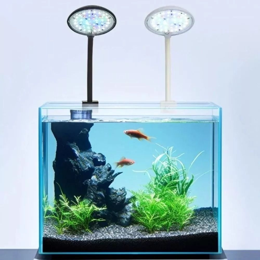New Mini Fish Tank Clip Lamp 5 - Aquarium Fish Live ulasan dan harga