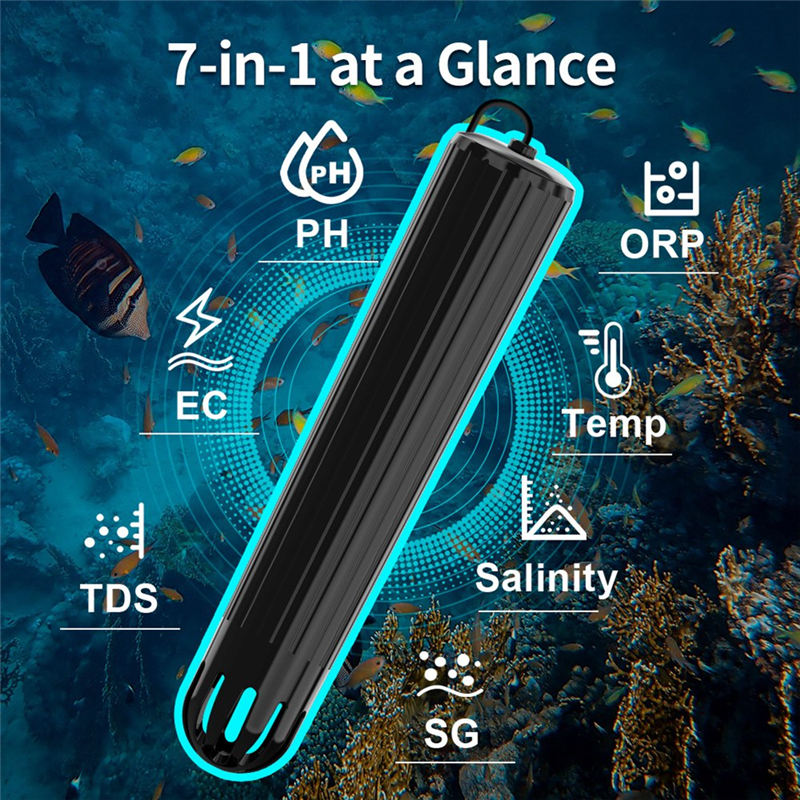 【Flash-Deal!】7 In 1 Online Wif - Aquarium Fish In Online ulasan dan harga