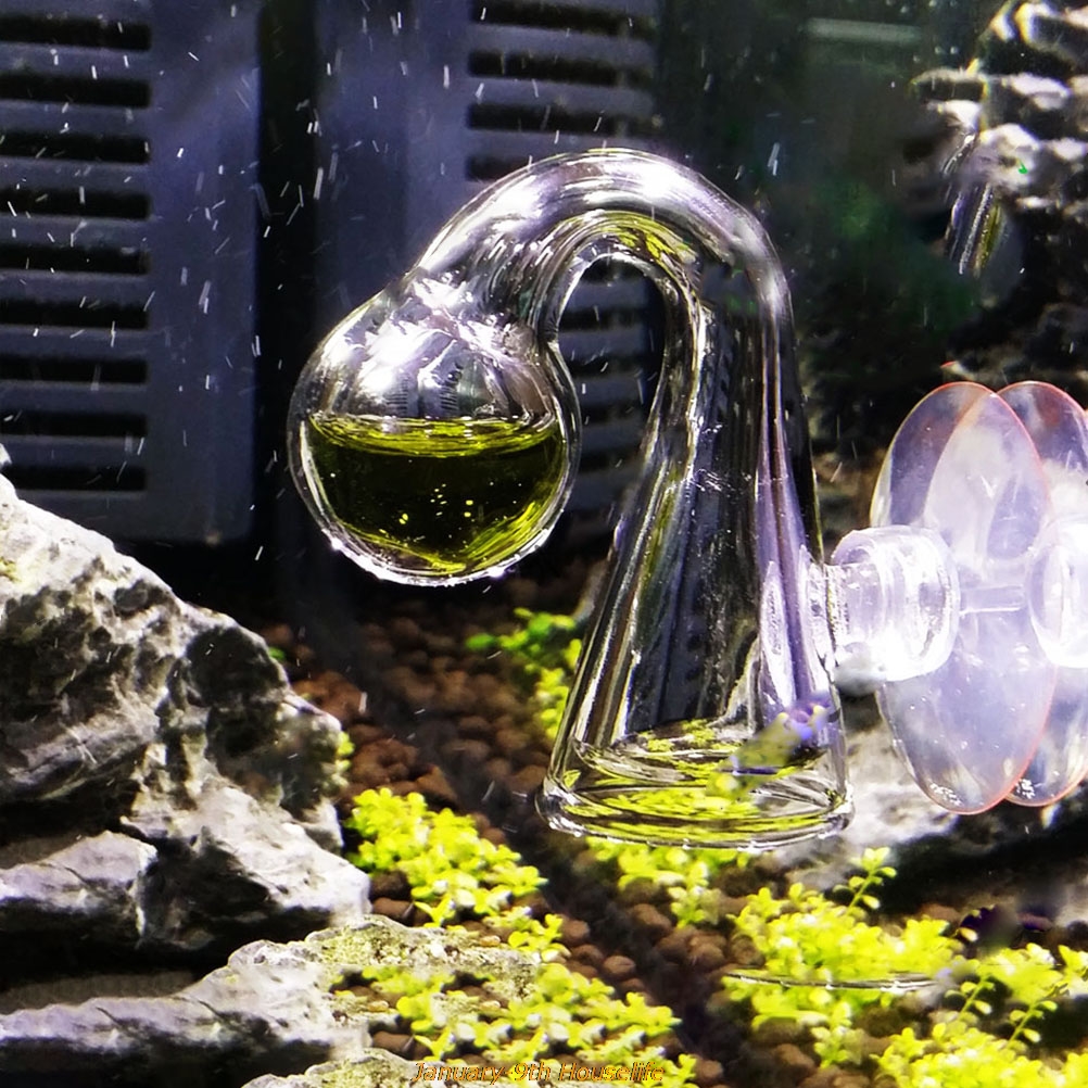 Fish Tank CO2 Diffuse Glass Dr - Co2 Diffuser Planted ulasan dan harga