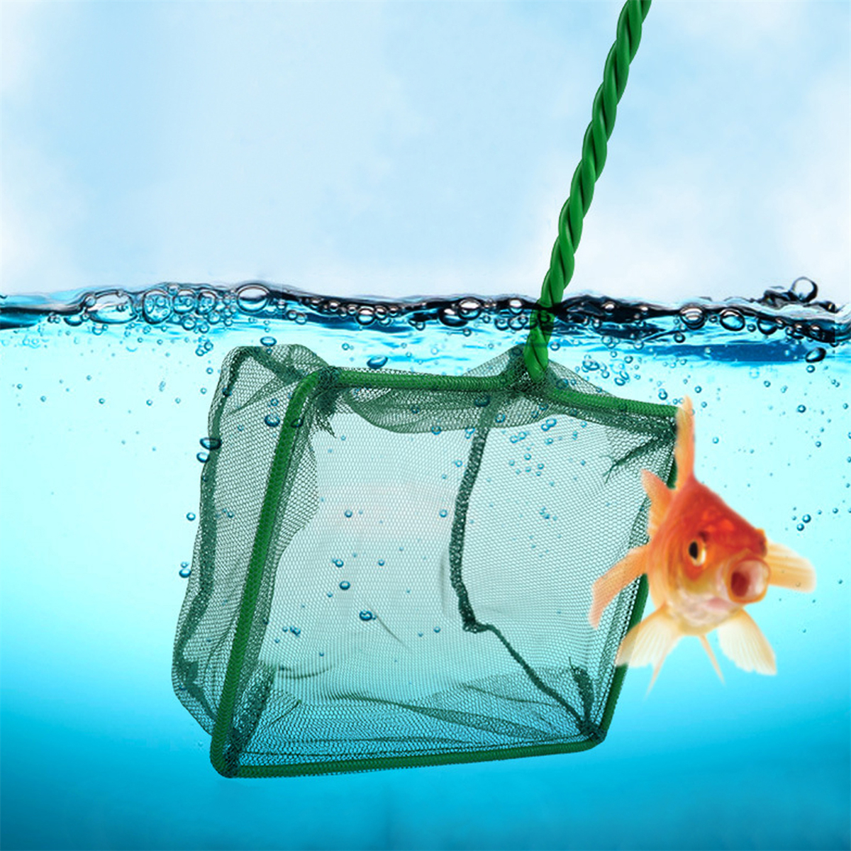3~10 Inch Portable Nylon Green - Aquarium Fish Long ulasan dan harga