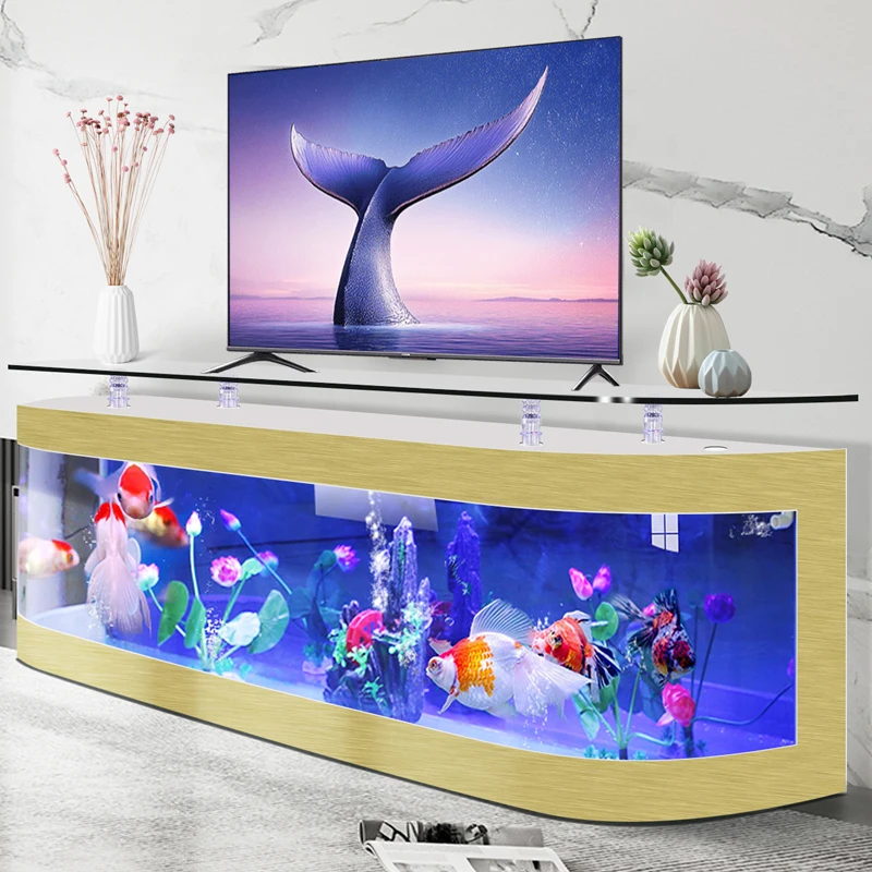European-style aquarium ecolog - Aquarium Fish Live ulasan dan harga