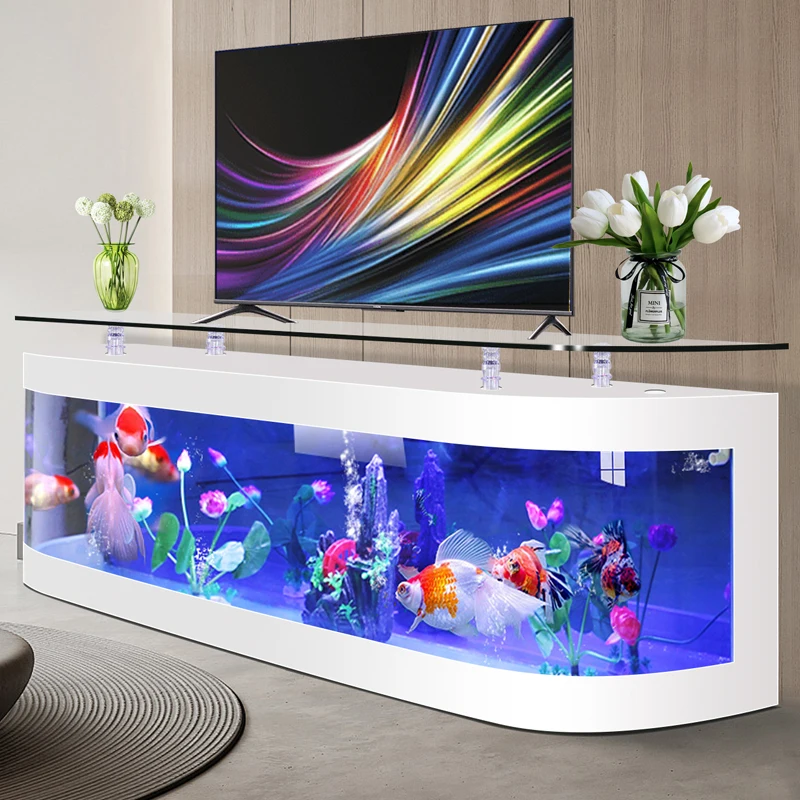 European-style aquarium ecolog - Aquarium Fish Live ulasan dan harga