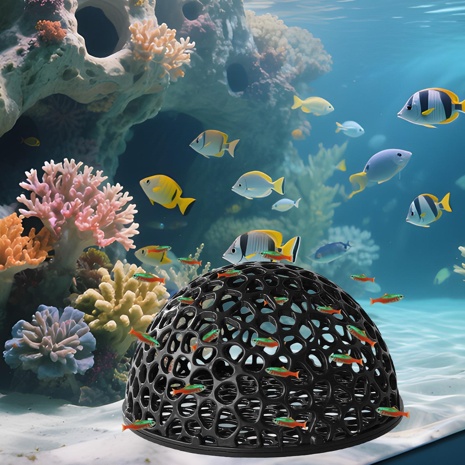 Aquarium shrimp house Cave Min - Aquarium Fish Hiding Spot ulasan dan harga
