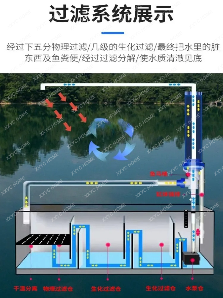 Living Room Floor Partition 2  - Aquarium Fish Long ulasan dan harga