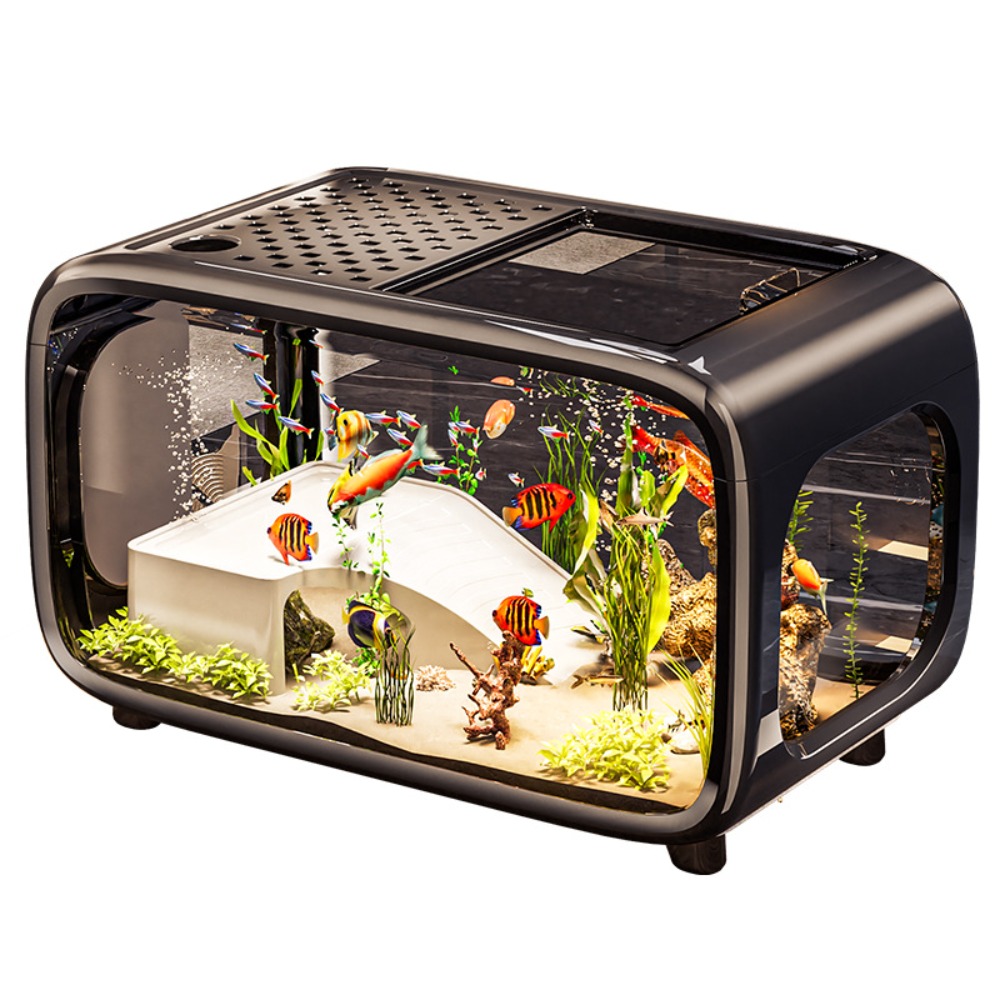 Creative Transparent Ecologica - Aquarium Fish Live ulasan dan harga