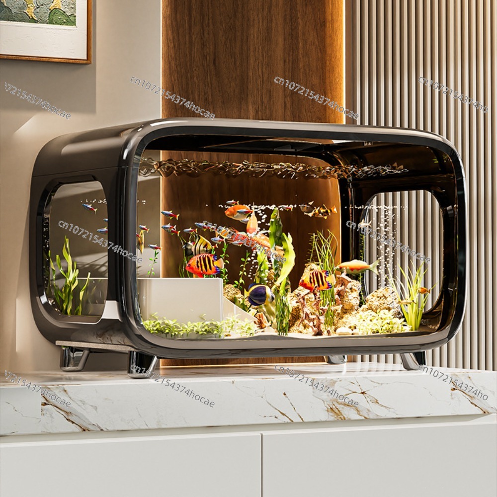 Creative Transparent Ecologica - Aquarium Fish Live ulasan dan harga