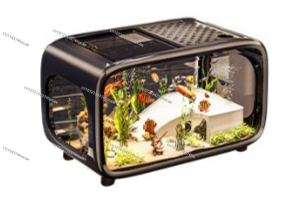 Creative Transparent Ecologica - Aquarium Fish Live ulasan dan harga